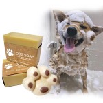 Pet Soap Bar Manufacturer - OEM Natural Dog Shampoo Organic Virgin Coconut Infused Calendula