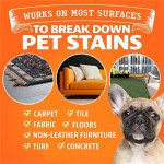 Dog Grooming Spray Manufacturer - OEM Citrus Scented Odor Eliminator Pet Stain Remover Carpet Cleaner