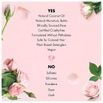 Dandruff Shampoo Manufacturer - OEM Private Label Vegan Butter Rose Anti Itch Oil Control