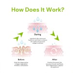 Anti Aging Serum Manufacturer - OEM Fast Wrinkle Removal for Face Neck Old Age Lines