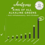 Pet Paw Balm Manufacturer - OEM Custom Private Label Organic Wheatgrass for Cracked Pads