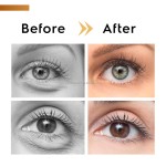 Eye Repair Serum Manufacturer - OEM Factory Custom ADVANCED Under Eye Cream 360 Roller Massage