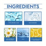 Hyaluronic Acid Face Wash Manufacturer - OEM Deep Cleaning Pores Acne Remover Brightening Lotion