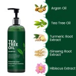 Tea Tree Oil Shampoo Set Manufacturer - OEM Refreshing Anti-Hair Loss Oil Control Moisturizing