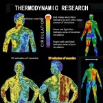 Anti Cellulite Serum Manufacturer - OEM Customized Private Label Hot Sweat Enhancer for Belly