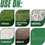 Pet Odor Eliminator Manufacturer - OEM Newest Natural Enzymes Outdoor Remove Urine Stool Vomit