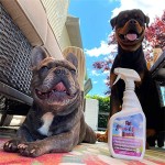 Pet Enzyme Deodorant Spray Manufacturer - OEM LOW MOQ Remove Odor Natural Eliminator for Dog Urine