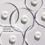 Morning Facial Moisturizer Manufacturer - OEM/ODM Wholesale Customized Private Labels with Camellia