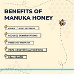 Bulldog Wrinkle Cream Manufacturer - OEM Custom Luxury Packaging Manuka Honey Rash Treatment