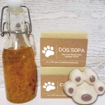 Pet Soap Bar Manufacturer - OEM Natural Dog Shampoo Organic Virgin Coconut Infused Calendula