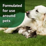 Pet Odor Eliminator Manufacturer - OEM Newest Natural Enzymes Outdoor Remove Urine Stool Vomit