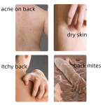 Body Wash Manufacturer - OEM Best Seller Luxury Rose Fragrance Sulfate Free Cherry Blossom