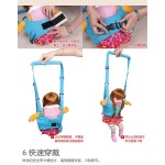 Baby Walker Manufacturer - Removable Breathable Protective Harness