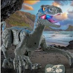 Remote Control Dinosaur Factory - 2.4g Wireless Sound Light