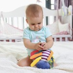 Pram Toys Manufacturer - Clip on Car Seat Hanging Rattle