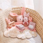 Newborn Gift Set Manufacturer - Milestone Card Muslin Blanket