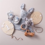 Newborn Gift Set Manufacturer - Milestone Card Muslin Blanket