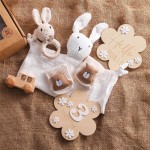 Newborn Gift Set Manufacturer - Milestone Card Muslin Blanket