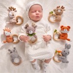 Baby Teether Supplier - Silicone Rainbow Wooden Ring