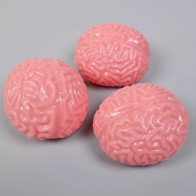 Brain Stress Ball Manufacturer - OEM Shaped Cute Colorful Slow Rebound Silicone Squeeze Toy