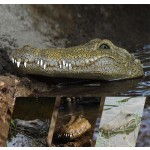 RC Boat Toy Manufacturer - OEM 2.4GHz Simulation Crocodile Head Floating Remote Control Prank