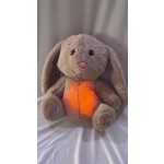 Glowing Plush Toy Manufacturer - OEM Breathing Soothing Little Rabbits Mother Child Kangaroo Animal Doll