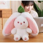 Fruit Rabbit Plush Toy Manufacturer - OEM Cross-Border New Soft Stuffed Strawberry Carrot Teddy Bear Children's Gift
