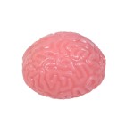 Brain Stress Ball Manufacturer - OEM Shaped Cute Colorful Slow Rebound Silicone Squeeze Toy