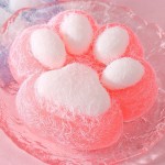 Cat Paw Stress Ball Manufacturer - OEM Extra Large Shaped Cute Colorful Slow Rebound Silicone Squeeze Toy