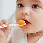 Baby Feeder Supplier - BPA Free Food Grade Fruit