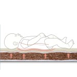 Coconut Palm Mattress Factory - Four Seasons Natural Latex