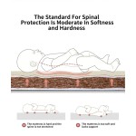 Baby Cradle Mattress Manufacturer - White Latex for New Born