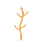 Children's Bicycle Manufacturer - Foldable for 2-9 Years Old