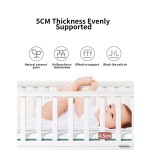 Wood Mattress Supplier - 5 Cm Thickness Coconut Palm