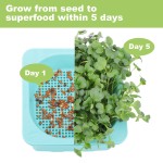 Seed Starter Tray Manufacturer - 2025 New Flexible Silicone 4 Inch Tall Reusable