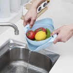 Rotating Kitchen Bowl Factory - Double-layer Plastic Eco-friendly Drain Basin