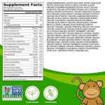 OEM/ODM Private Label Health Food Supplement Vegan Gummies  Multi-vitamin Kids Multivitamin Gummies