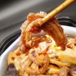 中国食品速溶火锅面海底捞火锅面自热包装食品