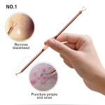 Blackhead Remover Kit Manufacturer - Facial Cleaning Acne Needle Set with Plastic Box