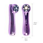 RF Beauty Device - Anti-Aging Skin Tightening Factory