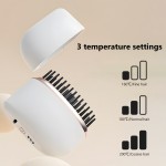 Portable Hair Comb - Wet/Dry Dual Use OEM Supplier