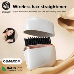 Portable Hair Comb - Wet/Dry Dual Use OEM Supplier