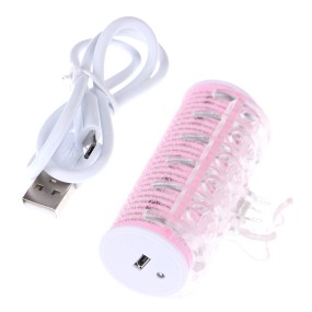 USB Hair Curler - Portable Bangs Roller OEM Supplier