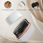 Portable Hair Comb - Wet/Dry Dual Use OEM Supplier