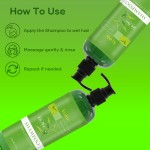 Tea Tree Shampoo - 500ml Scalp Treatment
