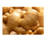 Ginger Hair Essence - Plant Extract OEM
