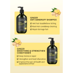 Ginger Hair Essence - Plant Extract OEM