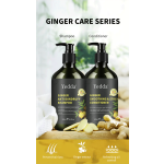 Ginger Hair Essence - Plant Extract OEM