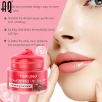 Lip Cream Mask Manufacturer - Private Label Organic Red Pomegranate 10g Moisturizing Nourishing Crystal Oil