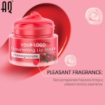Lip Cream Mask Manufacturer - Private Label Organic Red Pomegranate 10g Moisturizing Nourishing Crystal Oil